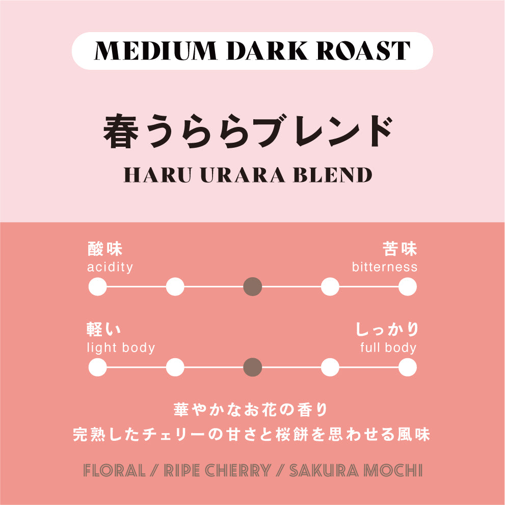 【中深煎り】春うららブレンド 2026