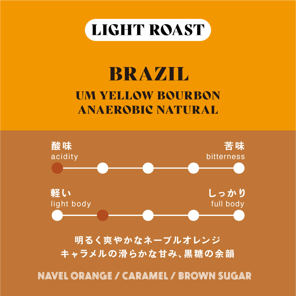 ＜送料込み＞ブラジル産の浅煎りコーヒー飲み比べセット