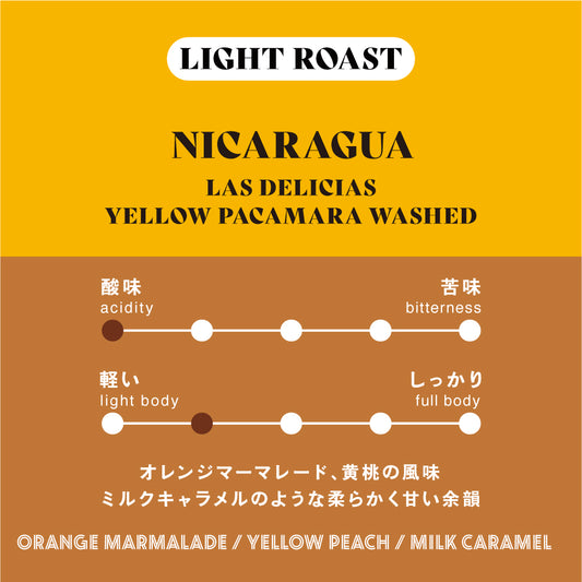 【浅煎り】ニカラグア／Las Delicias Yellow Pacamara Washed