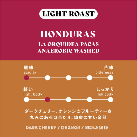 【浅煎り】ホンジュラス／La Orquidea Pacas Anaerobic Washed